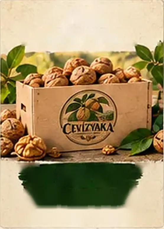 1 KG Kabuklu Ceviz — Cevizyaka kutusu