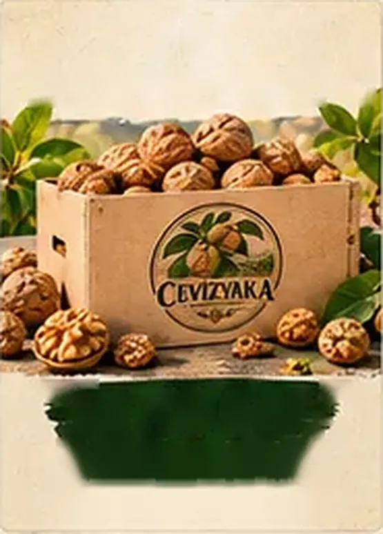 2 KG Kabuklu Ceviz — Cevizyaka kutusu