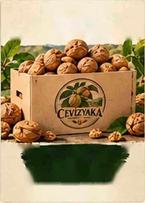 10 KG Kabuklu Ceviz — Cevizyaka kutusu