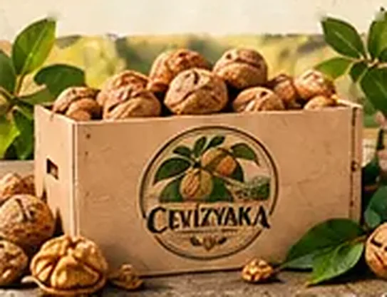 1 KG Kabuklu Ceviz — Cevizyaka kutusunda kabuklu cevizler