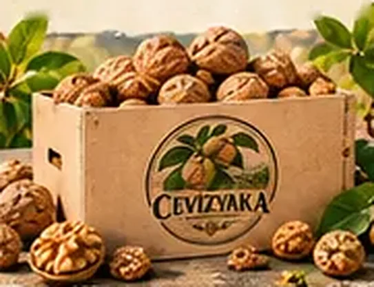 2 KG Kabuklu Ceviz — Cevizyaka kutusunda kabuklu cevizler