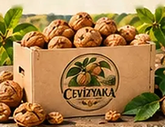 Cevizyaka kutusunda Chandler kabuklu cevizler