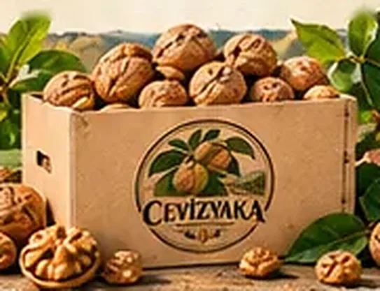 5 KG Kabuklu Ceviz — Cevizyaka kutusunda kabuklu cevizler