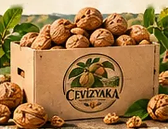 10 KG Kabuklu Ceviz — Cevizyaka kutusunda kabuklu cevizler